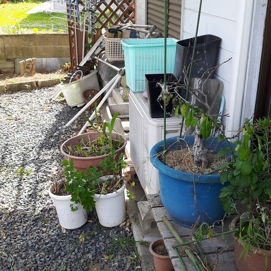 お庭丸ごとお片付け 作業 価格満足度98 7 お片付けの事ならかたづけ屋ホームサービス